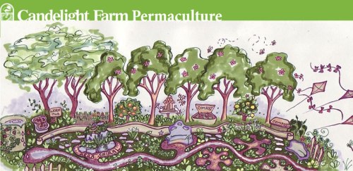 Illustration de l'idée de permaculture/Agro-écologie